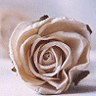 ..Flower .. Icon007