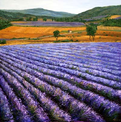 Jennifer Vranes 06A004_through_fields_of_lavender