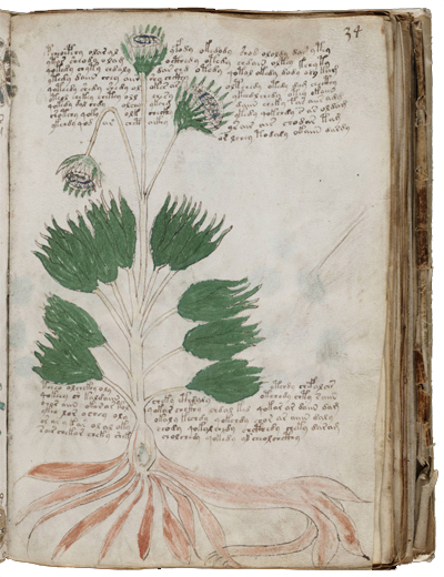 Le mystère du manuscrit de Voynich[/ Manuscrit_Voynich