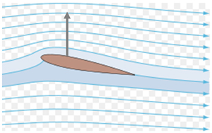 Pourquoi les avions volent-ils ? Wing_lift