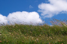 Prairie, mini lac, falaise