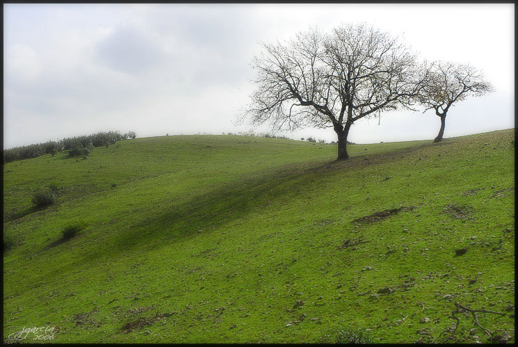 La Colina Celeste: Colina