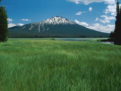 Southern Boundary Grassland