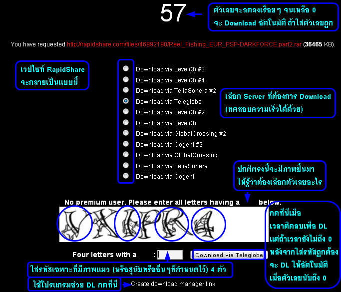 Download ไฟล์ใน Rapidshare แบบไม่ต้องรอนาน Rapid007