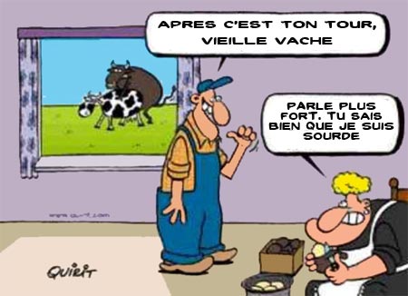 Le coin des blagues - Page 3 Vache-et-femme