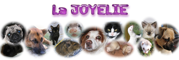 La Joyelie