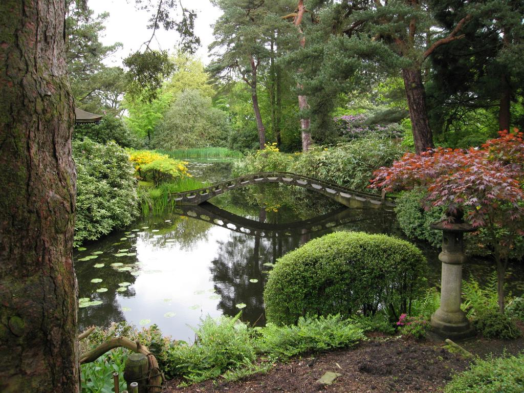 Домът на Моли Симс Japanese-Garden-Tatton-Park_66