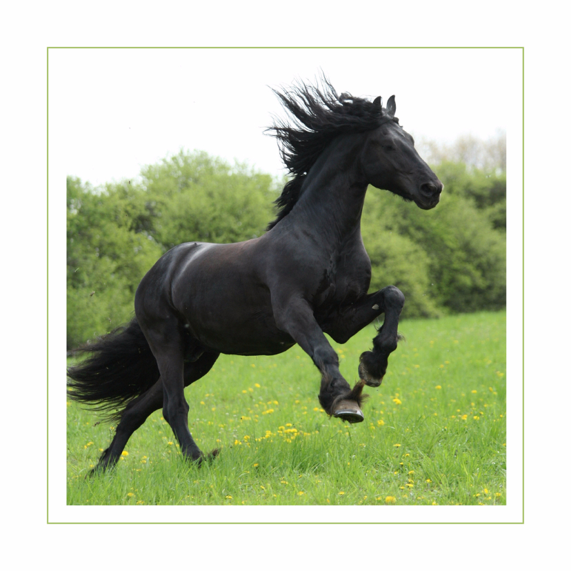 Bekijk een karakter blad Dierenkaart-fries-paard