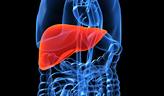 اسرار سنه نبوية ج18 Liver%20xray_ashx