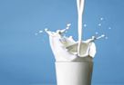 Milk protect against cancers 5(15)