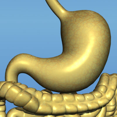 Alcohol is a disease Stomach_jpgcc841d37-e92d-47ef-98a7-0d17c58e75fcLarge