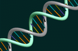 هل تعلم ان العلم الحديث اثبت ان للجلد ذاكرة حديدية Dna_0101010