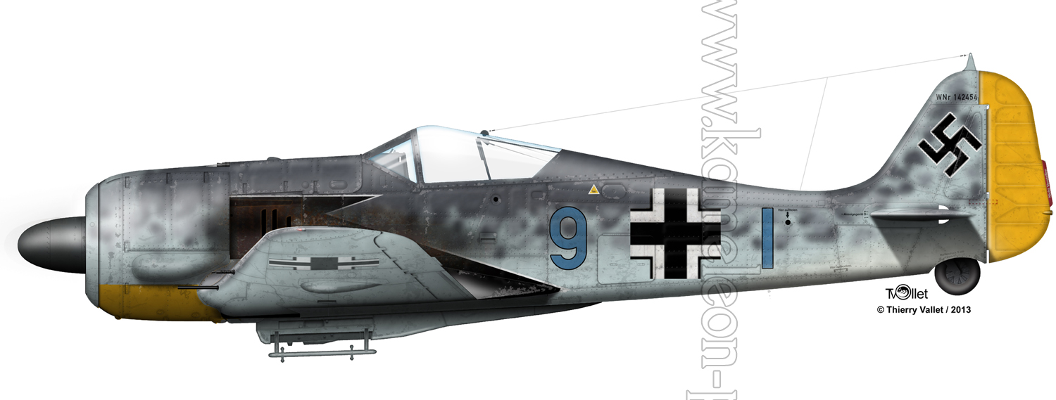 Profil du Fw190A4 de Rudolf Wieprecht, 10./JG2 1943 Fw190%20A4%20-%209%20blue%20JG2%20small