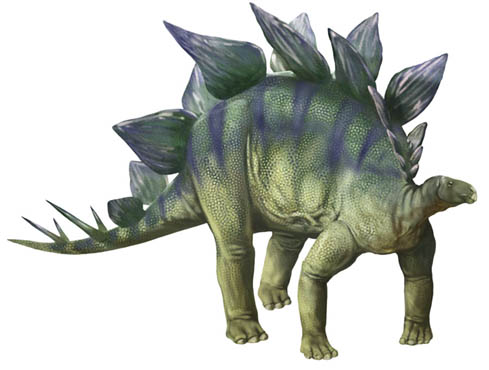 Stegosaurus Karen_Carr_Royal_Tyrrell_Stegosaurus