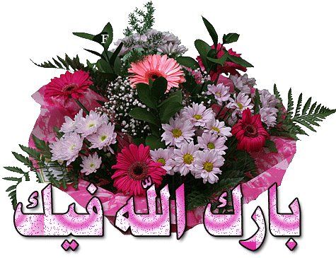  الحمد لله على كل شيء 13361535342