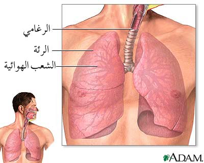 بحث طبي حلو تشريح جسم الإنسان Karom.net133726489212