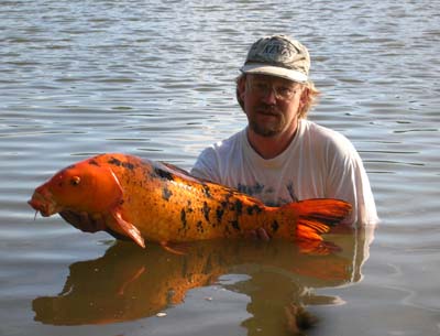 J'ai un poisson Nb_01