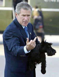 Israel Barbarism ""PICTURES" Bush-finger