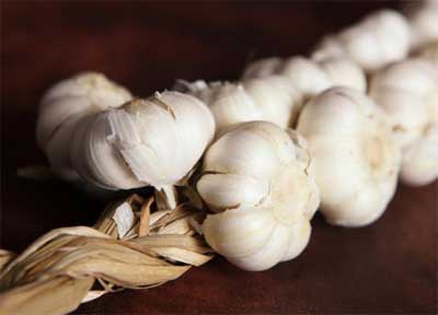 உடல் பருமன் - உயிர் குடிக்கும் நோய்களின் சங்கமம் Garlic_400