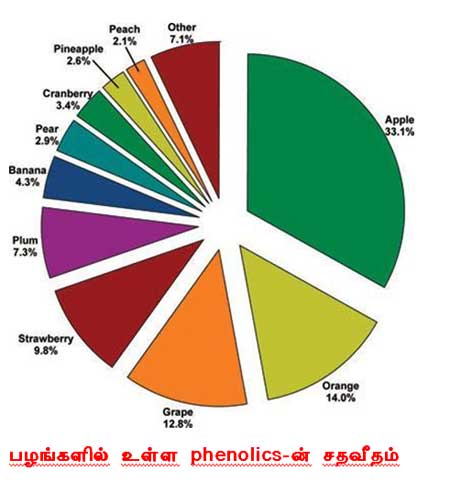 புற்றுநோயைத் தடுக்கும் ஆப்பிள் Phenolics_450