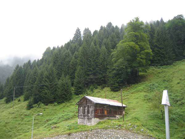 Rize'den Resimler 0336