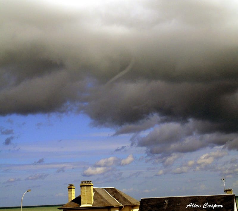 Nouveaux tubas au large du Calvados le 19 août Tuba-calvados-19-aout-2014-normandie-asnelles-bernieres-sur-mer-3