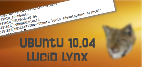 Ubuntu Netbook Edition 10.04  38816