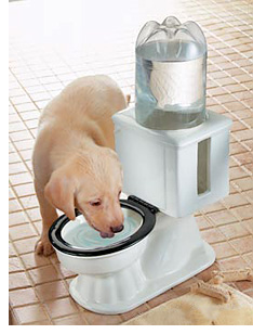 l'endroit special chiens!! Toilet_dog_bowl