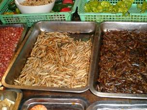 Disgusting Chinese Food Image13181