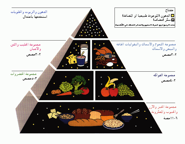 يعني إيه ريجيم؟؟ Foodgudepyramide