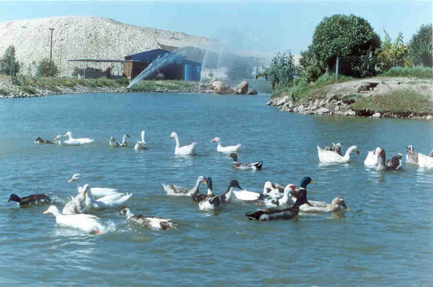 المملكة المغربية Lac_sidi_chanan