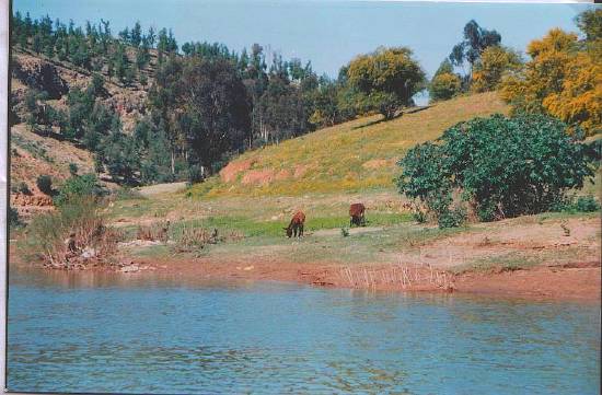 جبال وانهار Mer-douce-nature-fes-maroc-