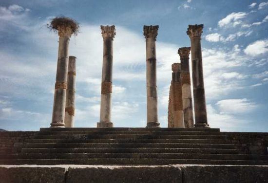 مدينة وليلي المغربية الأثرية ...تعريف وصور... Architecture-ruines-volubilis-meknes-maroc-