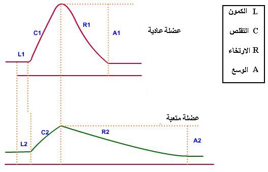 استهلاك المــادة العضوية و تدفق الطــاقة FATIG