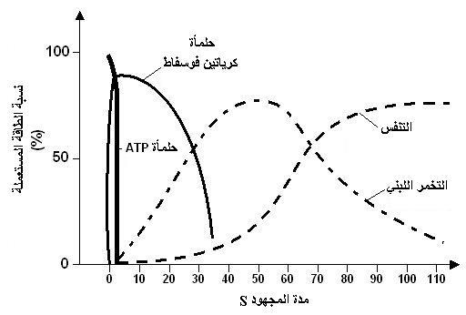 استهلاك المــادة العضوية و تدفق الطــاقة PRCENERGIE