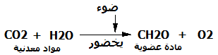     إنتاج المادة العضوية من طرف النباتات Photosynreact