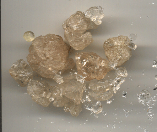 سر الاعشاب  Arabicgum