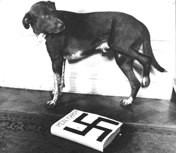 Que savent faire vos animaux ??? Mein_Kampf