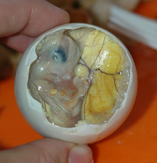    3       Balut2-550x571