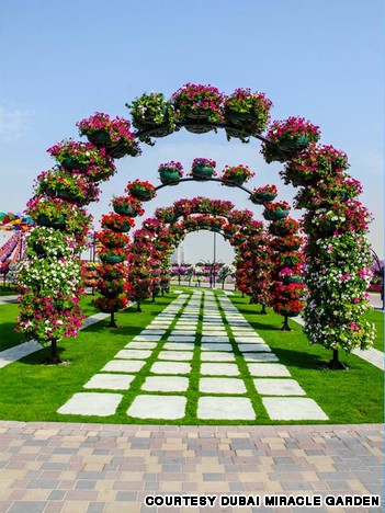 الحديقة المعجزة – افتتاح أكبر حديقة زهور طبيعية فى العالم بدبى Dubai_flower_garden_1