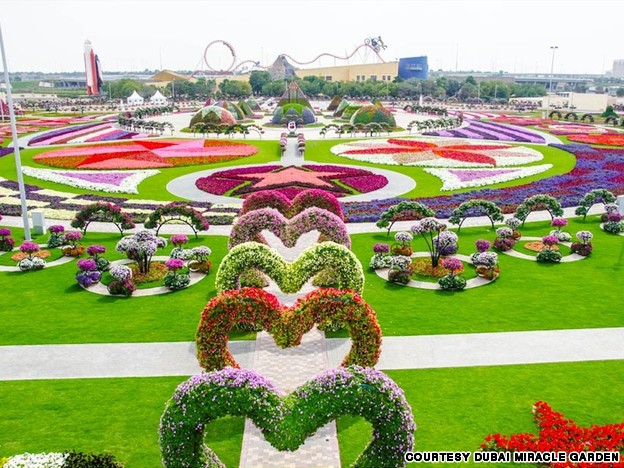 الحديقة المعجزة – افتتاح أكبر حديقة زهور طبيعية فى العالم بدبى Dubai_flower_garden_2