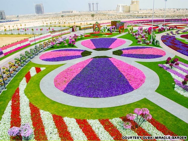 الحديقة المعجزة – افتتاح أكبر حديقة زهور طبيعية فى العالم بدبى Dubai_flower_garden_4