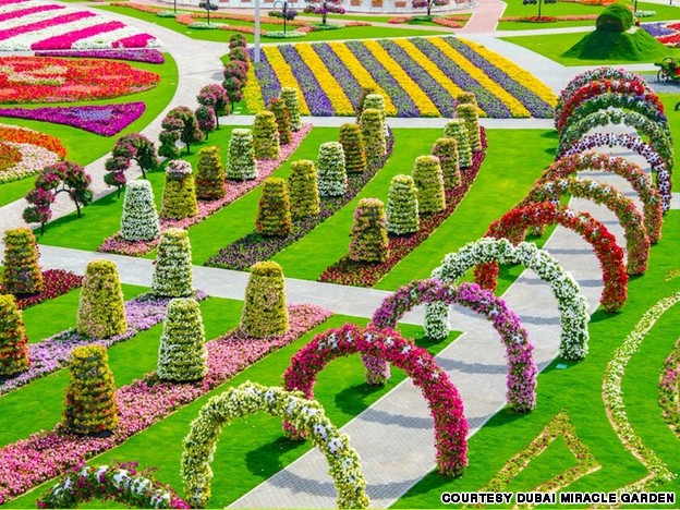 الحديقة المعجزة – افتتاح أكبر حديقة زهور طبيعية فى العالم بدبى Dubai_flower_garden_5