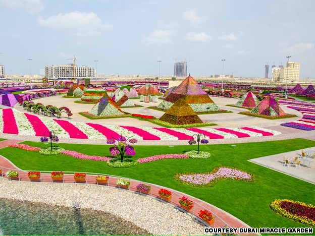 الحديقة المعجزة – افتتاح أكبر حديقة زهور طبيعية فى العالم بدبى Dubai_flower_garden_8