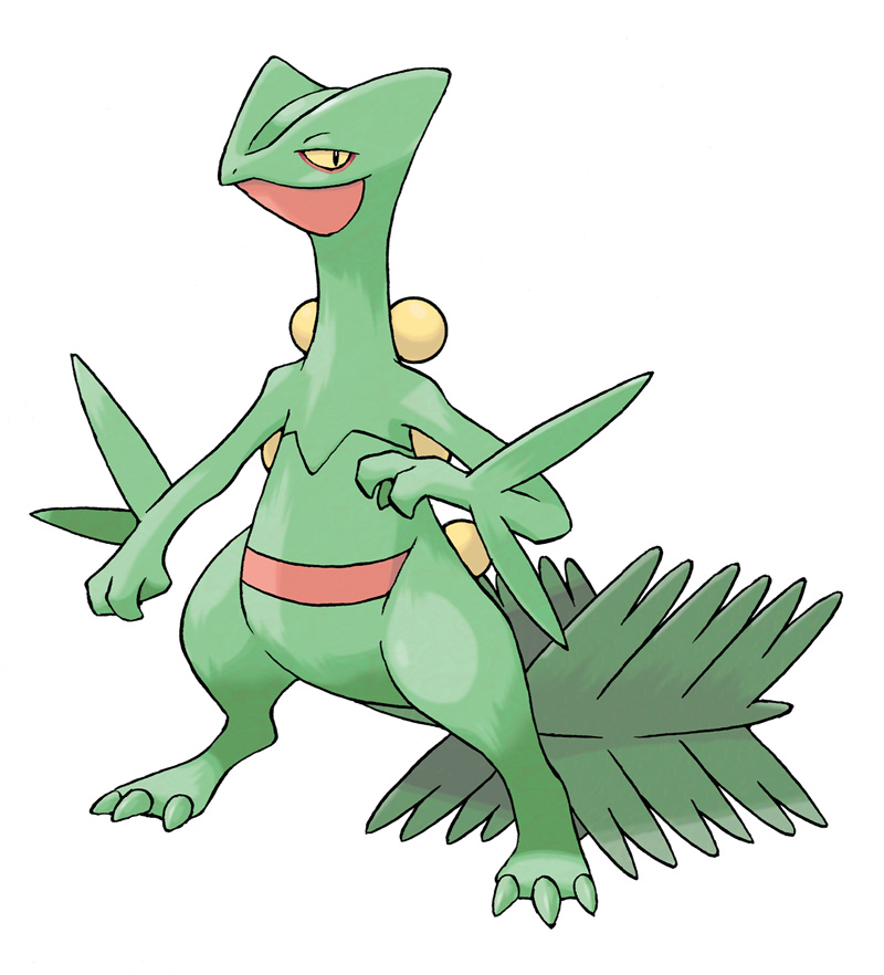 Quel est votre Pokémon préféré du type... ? - Page 3 Sceptile