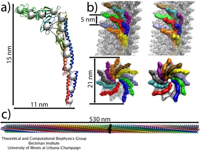 Flagellum, Behe's prime example of irreducible complexity Flag-cg-thumbnail