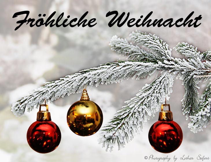 Eure Weihnachstaktionen Weihnachtsbilder