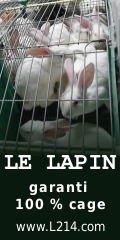 Signer la pétition pour l'interdiction de l'élevage des lapins en batterie Lapin-cage-120x240