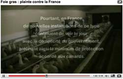 Lettres d'info Association L214 Video-plainte-foie-gras