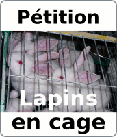 Pour la cause Lapin d'élevage  RV 20 Octobre à Paris Petition-lapins-cage